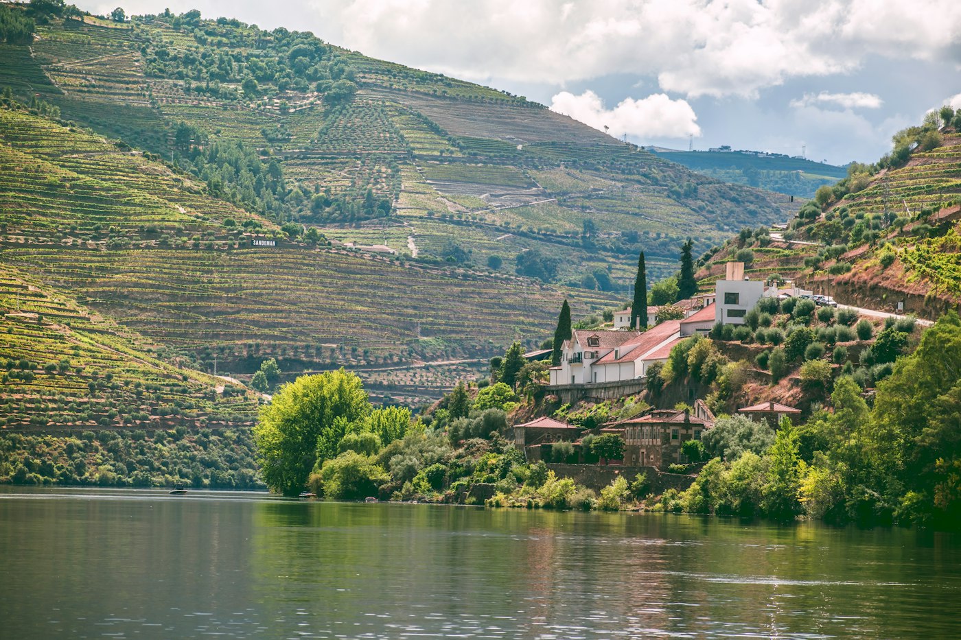 Terraced vineyards along the Douro River, Portugal