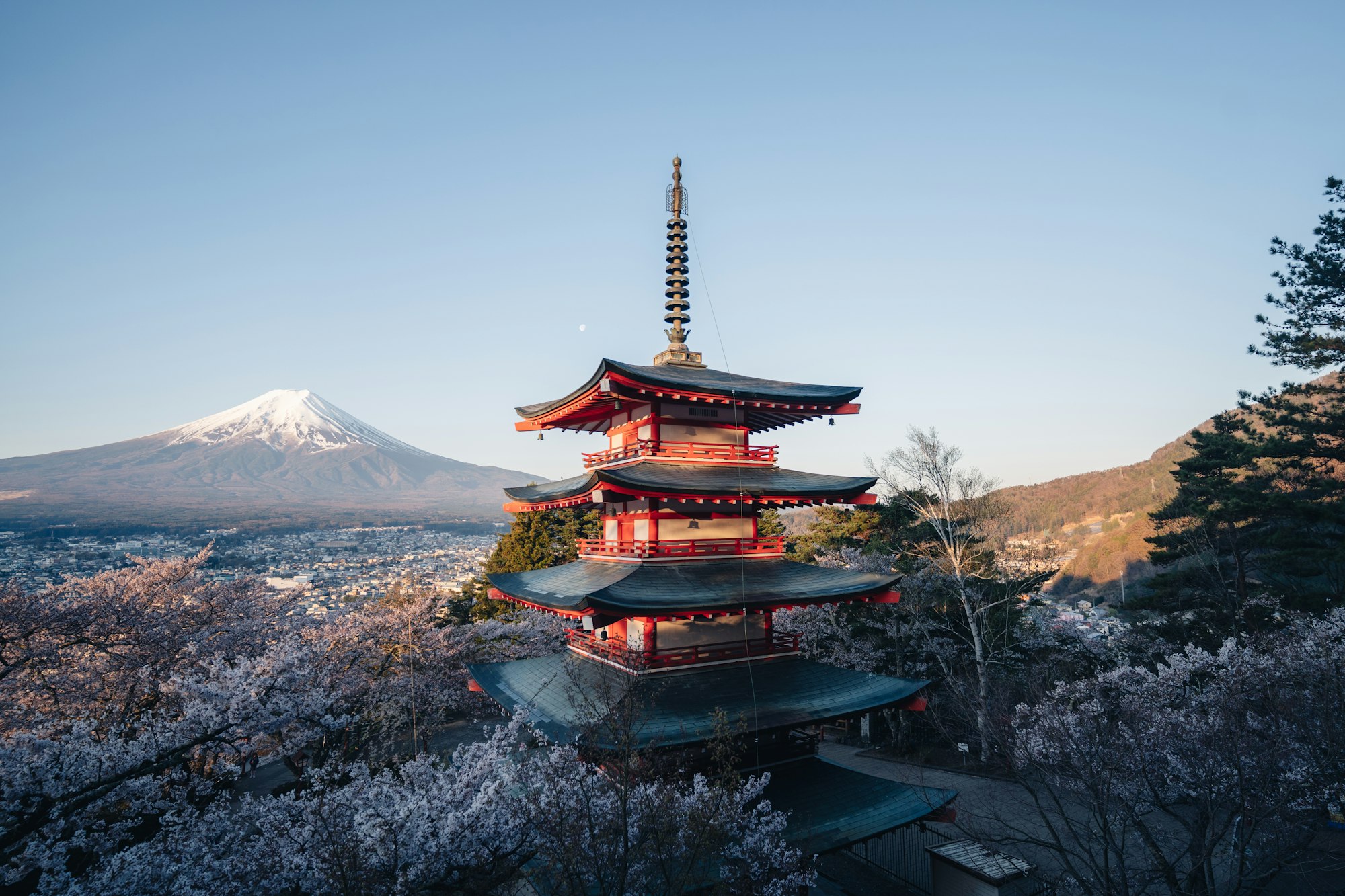 Mount Fuji and Chureito Pagoda in spring, Japan